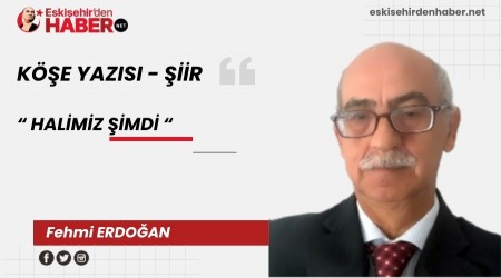 HALMZ MD