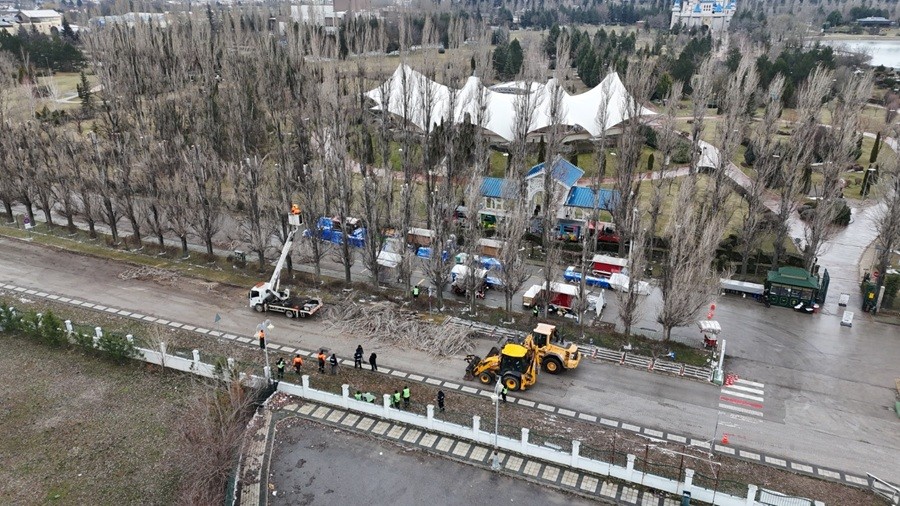 KAVAK A�A�LARI YER�N� �INARLARA BIRAKIYOR