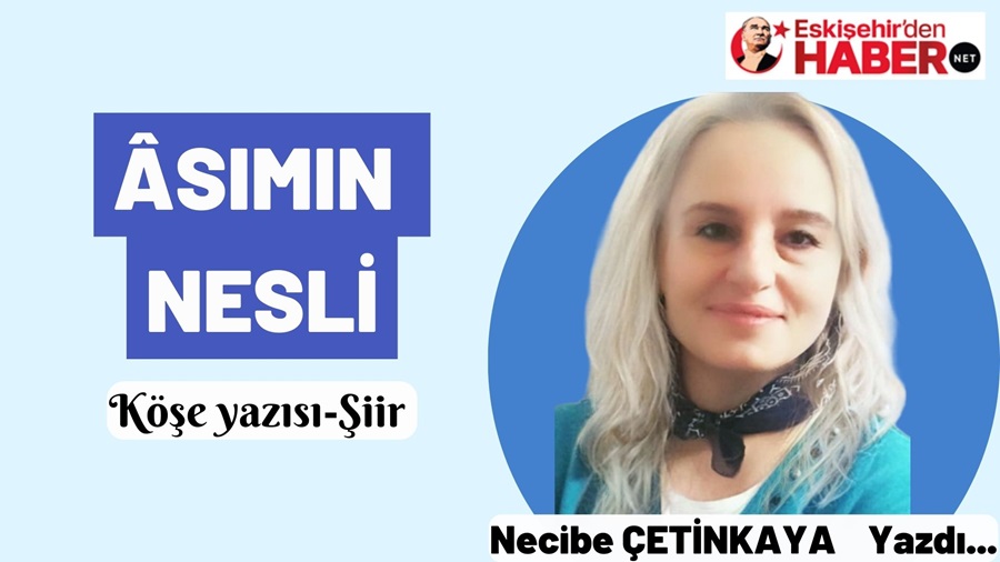 SIMIN NESL