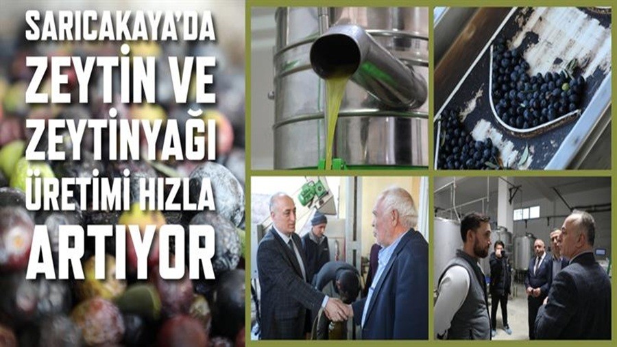 SARICAKAYA'DA ZEYT�N VE ZEYT�N YA�I �RET�M� HIZLA ARTIYOR