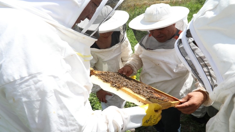 Odunpazar��nda ar�c�l�k e�itimleri ba�lad�