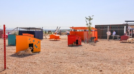 KAPSAMLI PROJELERLE CAN DOSTLARA DESTEK