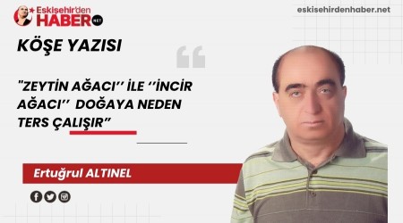"ZEYTN AACI LE NCR AACI DOAYA NEDEN TERS ALIIR