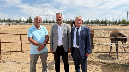 CHP L BAKANI YALAZ ATILIK VE BNCLK SORUNLARINI DLE GETRD