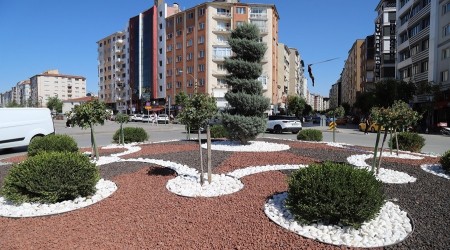 ESKEHR'DE KURU PEYZAJ SU TASARRUFU SALIYOR