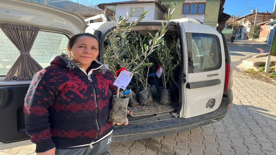 ESK��EH�R�DE ZEYT�N GELECE�E K�K SALIYOR