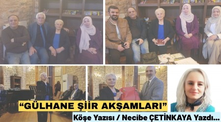 G�LHANE ���R AK�AMLARI