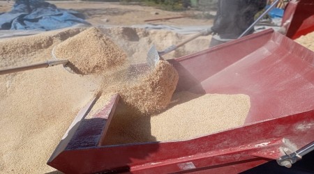 ESKEHRL VATANDALARA TOHUM VE BALYA DESTE