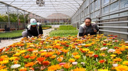 TEPEBA�INDA �ZENLE YET��T�R�L�YOR