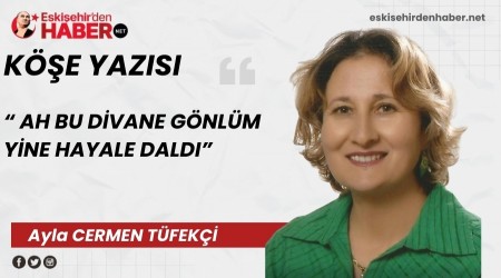 AH BU D�VANE G�NL�M Y�NE HAYALE DALDI