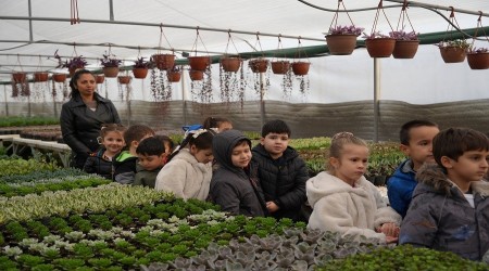 MNKLER RETM SRECN YERNDE GRD