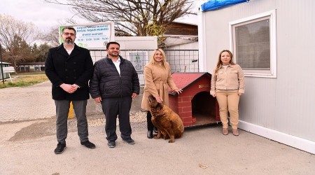 PATİLİ DOSTLARA KULÜBE BAĞIŞI