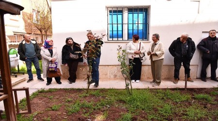 TEPEBA�I�NDA �B�TK� VE A�A� BUDAMA� E��T�M� D�ZENLEND�