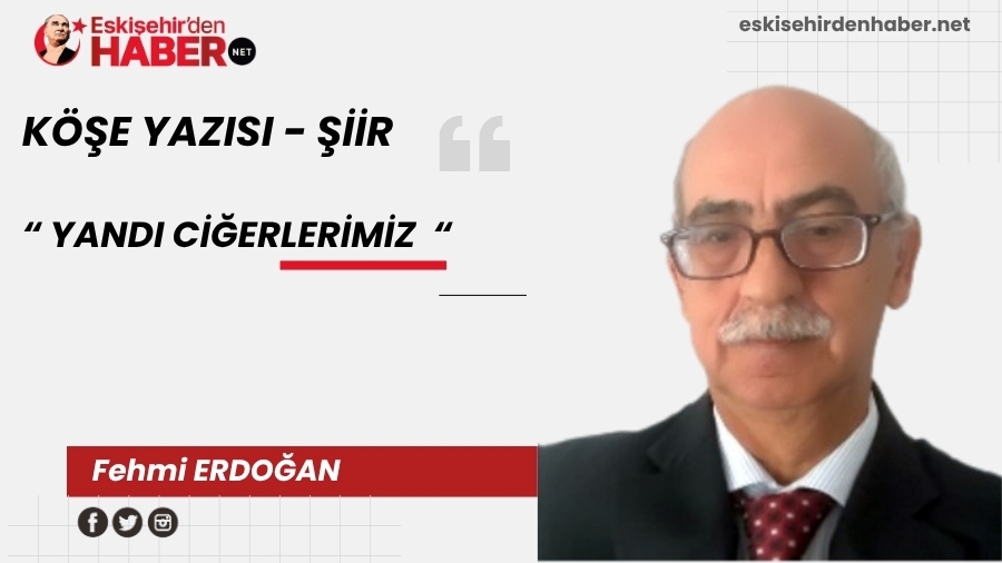 YANDI CERLERMZ
