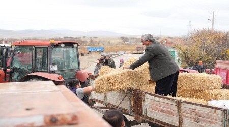 BYKEHRDEN GNYZܒNDEK RETCLERE  DESTEK