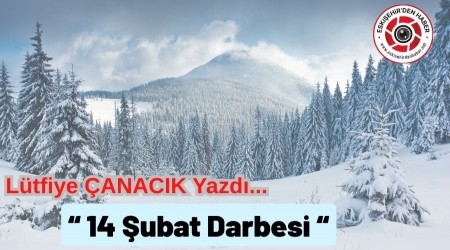 14 �ubat Darbesi