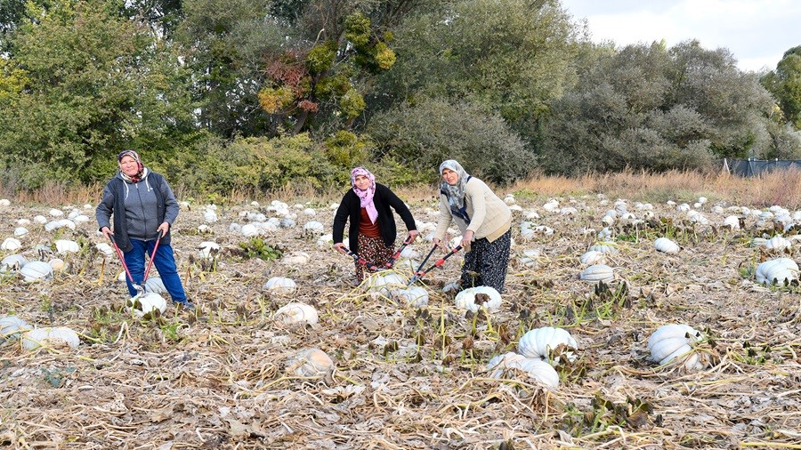 KIZILNLERL KADINLAR: "Bal kabaklarnn tantmaktan dolay gururluyuz