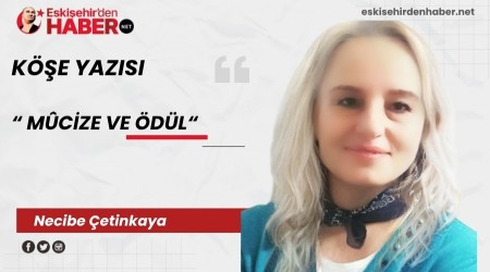 MCZE VE DL