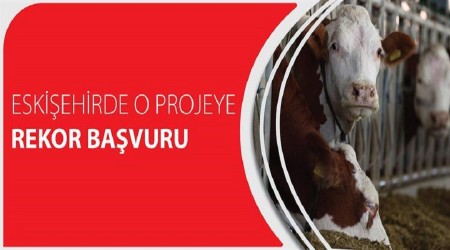 ESKEHRDE O PROJEYE REKOR BAVURU