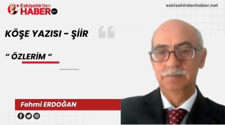 ZLERM