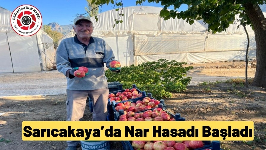 SARICAKA'DA NAR HASADI BALADI.