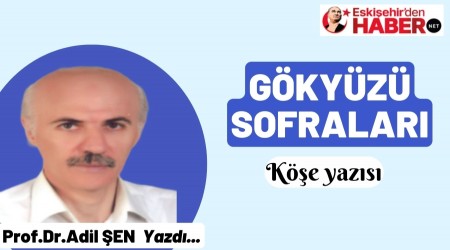  GKYZ SOFRALARI